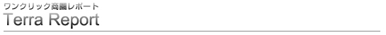 TerraReport