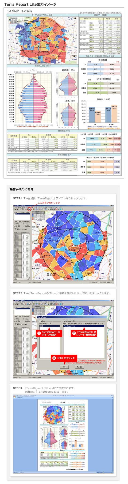 TerraReport