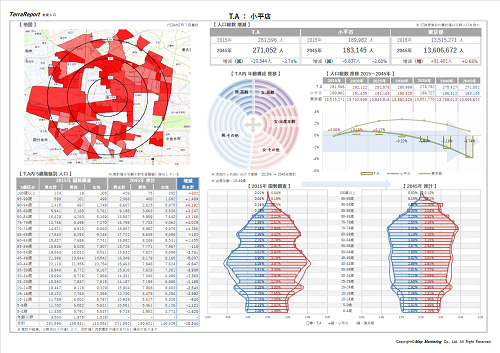 将来推計人口を考慮した商圏分析