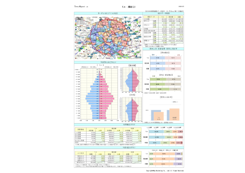 商圏分析レポートTerraReport Lite（A4縦）