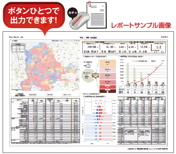 介護圏分析レポートの帳票イメージ