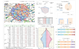 Terra Report レポート